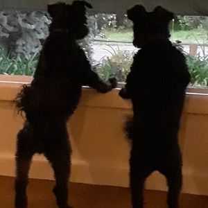 Meet your Posher, Sharon